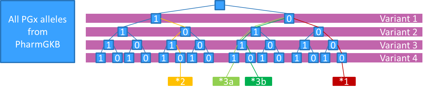 PGx alleles defined as complete haplotypes classifies the patient uniquely