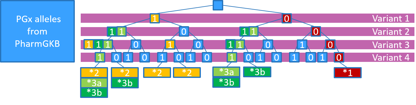 PGx alleles defined as collections of variants, with no requirement on loci that are not part of the definition, will assign the same PGx allele to several different haplotypes