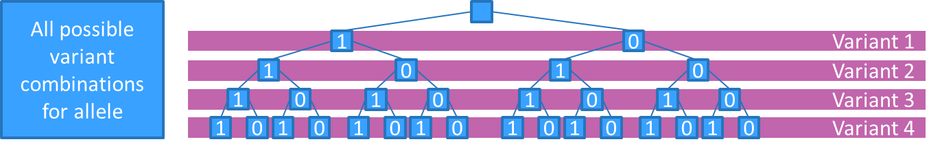 The 16 possible haplotypes for a four loci, decomposed variant calling